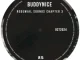 Buddynice – Redemial Sounds Chapter 3 (October 2024)