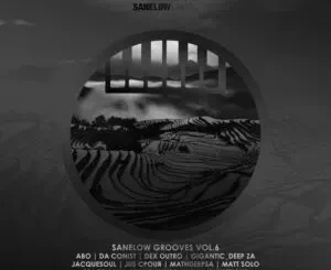 VA – Sanelow Grooves, Vol. 6