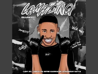 Zillewizzy – LamaZing feat. Lady Du, Janesh, Ba bethe Gashoazen & Mthandazo Gatya