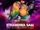 2point1 – Sthandwa Sam Ft BelloM, Epic DJ, Seneath & X-Morizo