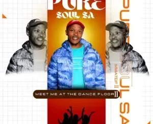 PureSoul SA – Meet Me at the Dance Floor 2