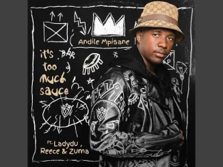 Andile Mpisane – It’s Too Much Sauce (ft. Lady Du, Reece Madlisa & Zuma)