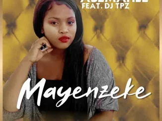 Asemahle ft. Dj TPZ – Mayenzeke