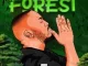 Citizen Sthee – Forest