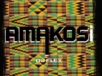 DJ Flex – AMAKOSI