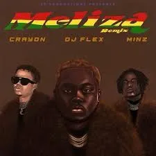 DJ Flex – Meliza Remix [Feat. Crayon & Minz]