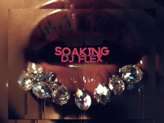 DJ Flex – Soaking