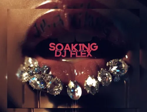 DJ Flex – Soaking