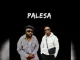 DJ Maphorisa – Palesa ft. Xduppy & Various artists