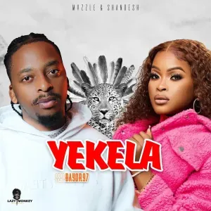 Mvzzle & Shandesh – Yekela ft. Bayor97