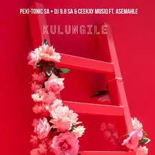 Pexi-Tonic SA – Kulungile_ft. Asemahle