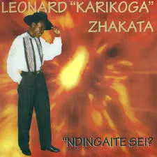 Leonard Zhakata – Handina Wangu