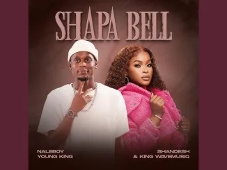 Shapa Bell - Naleboy Young King Feat Shandesh & King Wavemusiq