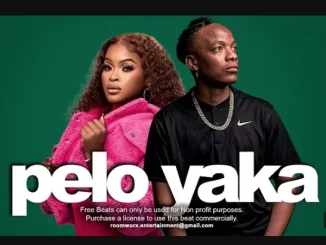 Shandesh – PELO YAKA ft Kaycherlow NLL