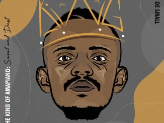 BEST OF KABZA DE SMALL – I AM THE KING OF AMAPIANO