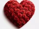 BusyExplore & InQfive – Lovelee Dae
