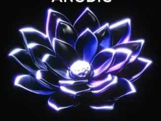 Cebow M – Anodic