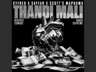 Cyfred x Sayfar x Scotts Maphuma – Thandi Mali feat. BenyRic, CowBoii,Tango Supreme