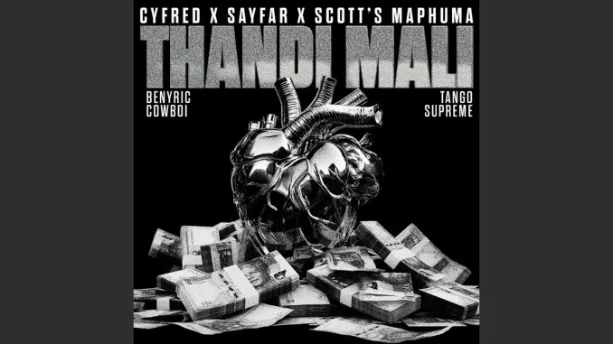 Cyfred x Sayfar x Scotts Maphuma – Thandi Mali feat. BenyRic, CowBoii,Tango Supreme Cyfred x Sayfar x Scotts Maphuma – Thandi Mali feat. BenyRic, CowBoii,Tango Supreme