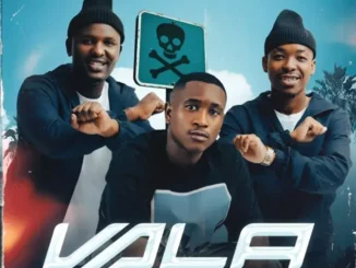 Dankie Boi – Vala ft GoldMax, Blacks Jnr, Dladla Mshunqisi & Black Catz
