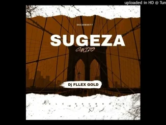 Dj Fllex Gold – Sugeza (gwijo song)