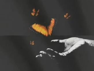 ElementicSoul – Grateful