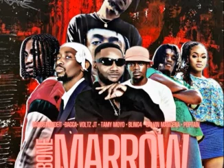 Gangstamadeit – Bone Marrow ft. Bagga, Voltz Jt, Bling4, Tamy Moyo, Calvin Mangena & Poptain