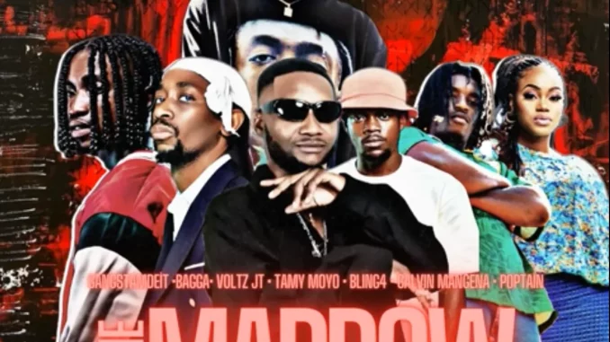 Gangstamadeit – Bone Marrow ft. Bagga, Voltz Jt, Bling4, Tamy Moyo, Calvin Mangena & Poptain Gangstamadeit – Bone Marrow ft. Bagga, Voltz Jt, Bling4, Tamy Moyo, Calvin Mangena & Poptain