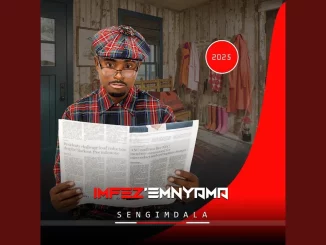 Imfez’emnyama – Luyangibhayizisa (feat. Mnyovu)