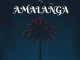 Kelvin Momo – Amalanga ft TeeJay