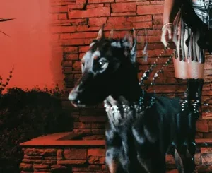 Leon Thomas – MUTT