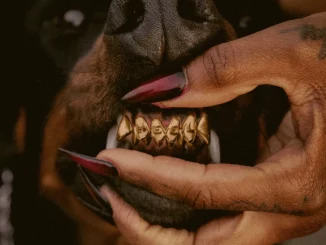 Leon Thomas – NOT FAIR