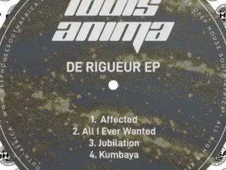 Louis Anima – De riguer