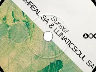 Lunaticsoul SA & StumReal SA – Sunset