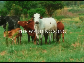 Majorsteez & Clxrity – The Wedding Song
