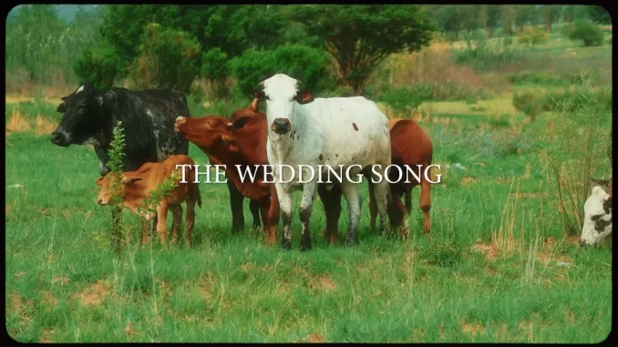 Majorsteez & Clxrity – The Wedding Song Majorsteez & Clxrity – The Wedding Song