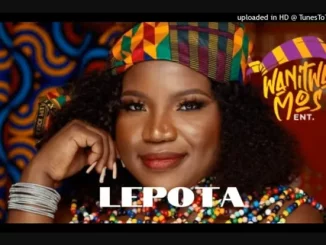 Makhadzi – Lepota ft Mr Bow