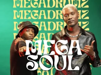 Megadrumz – Mak’ Moshakale ft. The Real Man