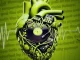 Mphoe Househead – Renaissance