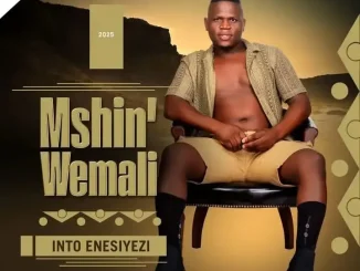 Mshinwemali – Nami Angizenzi Ft. Senzo Ntuli