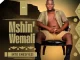 Mshinwemali – Nami Angizenzi Ft. Senzo Ntuli