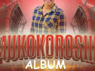 Nditsheni babe – mukokoroshi