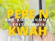 Pepe n Kwah (NSG) – Bad Boys Summer Edition Mix