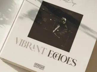 RoneeDeep – Vibrant Echoes