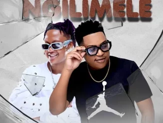 Sipho Magudulela, Eemoh & Frank Mabeat – Ngilimele