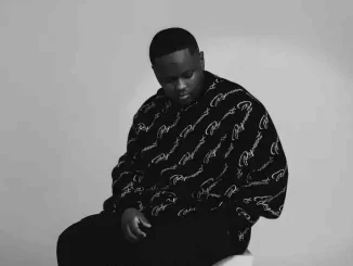 Stanky DeeJay – House2House Vol. 3