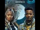 Sun-EL Musician x Msaki – Amandla