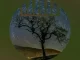 VA – Sanelow Dark, Vol. 14