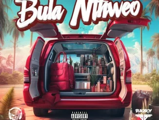Vetkuk vs Mahoota x DJ Maphorisa – Bula Nthweo (Long Compilation) ft. Jelly Babie, Xduppy, Uncool MC