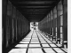 ZIDDO – Black & White